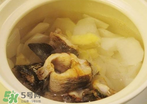 黑魚(yú)能和蘿卜一起吃嗎？黑魚(yú)能和胡蘿卜同食嗎