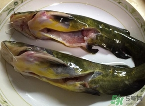 嘎魚是鯰魚嗎？嘎魚是黃辣丁嗎