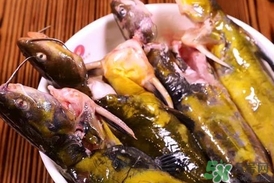 嘎魚是鯰魚嗎？嘎魚是黃辣丁嗎