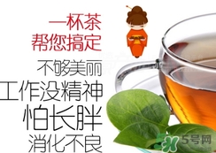 脂流茶成分 脂流茶可以減肥嗎？