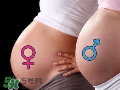 B超單數(shù)據(jù)怎么看男女？B超單看男女準(zhǔn)嗎？