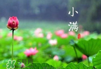 2017小滿(mǎn)是幾月幾日？小滿(mǎn)節(jié)氣養(yǎng)生