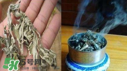 艾葉可以驅(qū)蚊子嗎？艾葉能驅(qū)蚊子嗎