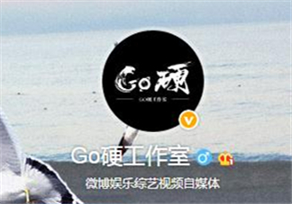 go硬工作室和卓偉有什么關(guān)系？go硬工作室是卓偉前員工成立的？