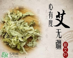 艾葉是艾蒿嗎？艾葉是什么樣的