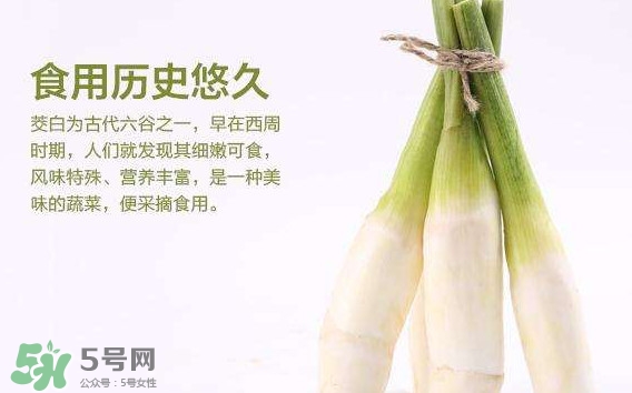 茭白是發(fā)物嗎？茭白是不是發(fā)物