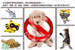 狂犬病是通過什么傳播的？狂犬病傳播途徑有哪些