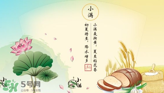 節(jié)氣小滿大滿是什么意思？24節(jié)氣為什么沒有大滿