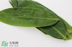 新鮮粽葉怎么處理？新鮮粽子葉怎樣處理？