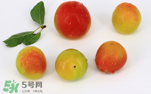 雙華李有什么營養(yǎng)？雙華李的營養(yǎng)價值