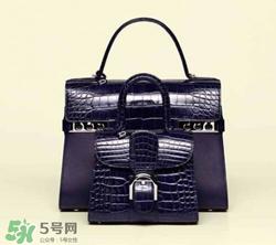 delvaux2017春夏系列包包款式有哪些_好看嗎？