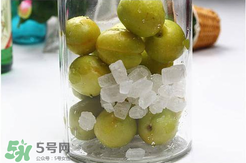 青杏酒怎么做？青杏酒的功效與作用