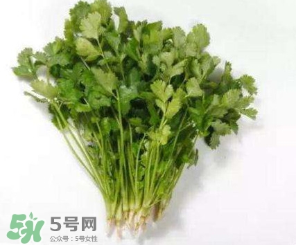 香菜洗腎有科學依據么？香菜能洗腎是真的嗎？