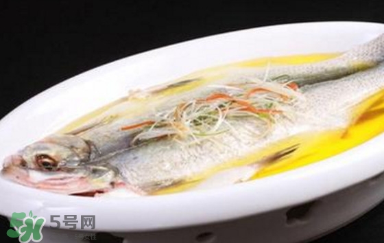 孕婦可以吃白條魚嗎？白條魚孕婦能吃嗎？