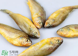 小黃魚不能和什么一起吃？小黃魚和什么相克？