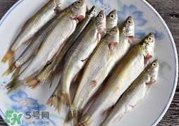 孕婦可以吃白條魚嗎？白條魚孕婦能吃嗎？