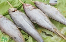 馬口魚怎么釣？馬口魚什么時(shí)候釣最好