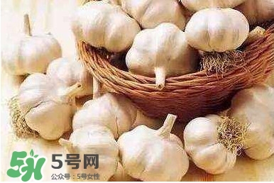 新蒜頭怎么保存不發(fā)芽？新蒜頭怎么存放