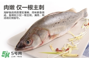 鱸魚是海鮮嗎？鱸魚是不是海鮮？