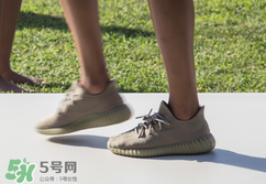 adidas yeezy 350 boost v2 dark green椰子350大地綠多少錢？