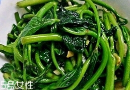 長壽菜是什么菜?長壽菜長什么樣子?