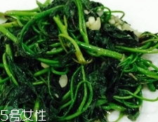 長壽菜是什么菜?長壽菜長什么樣子?