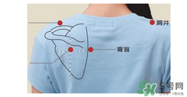 三伏貼貼在什么位置？三伏貼貼哪里？