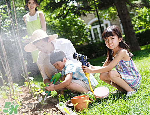 八月份可以種什么菜？八月份適合種植的蔬菜