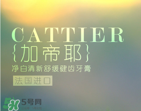 cattier加帝耶是什么牌子？法國(guó)cattier什么檔次？