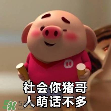 豬小屁表情包是什么？豬小屁表情包為什么這么火？