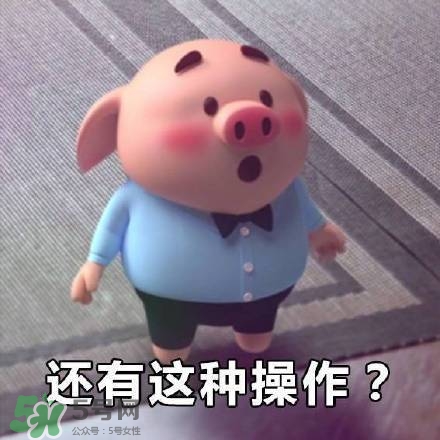 豬小屁表情包是什么？豬小屁表情包為什么這么火？