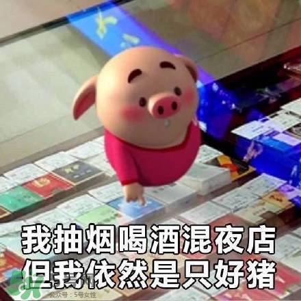 豬小屁表情包是什么？豬小屁表情包為什么這么火？