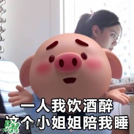 豬小屁多少錢(qián)一個(gè)？豬小屁哪里可以買(mǎi)到