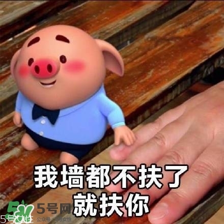 豬小屁多少錢(qián)一個(gè)？豬小屁哪里可以買(mǎi)到