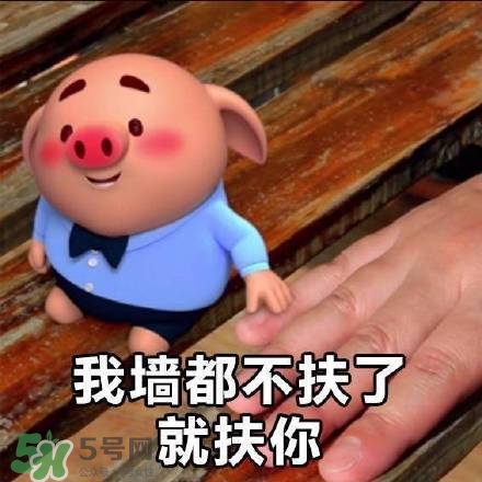 豬小屁表情包是什么？豬小屁表情包為什么這么火？