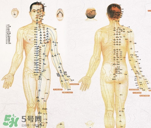 貼三伏貼可以吃西瓜嗎？貼三伏貼吃西瓜有什么害處