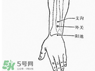 三伏貼能治過敏性鼻炎嗎？三伏貼治過敏性鼻炎貼哪里？