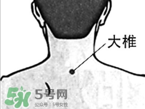 三伏貼能治過敏性鼻炎嗎？三伏貼治過敏性鼻炎貼哪里？