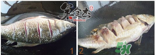 三伏灸可以吃魚(yú)嗎？三伏灸可以吃什么魚(yú)？