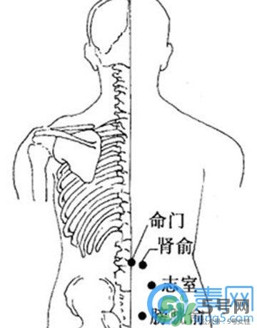 三伏灸可以治腰腿痛嗎？三伏灸治腰腿痛灸哪里》