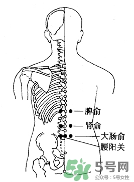 三伏灸可以治腰腿痛嗎？三伏灸治腰腿痛灸哪里》