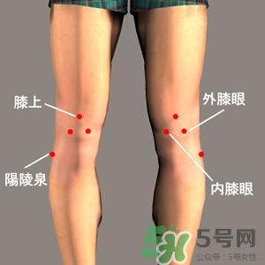 三伏灸可以治腰腿痛嗎？三伏灸治腰腿痛灸哪里》