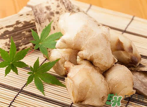 三伏天可以吃姜嗎_三伏天怎么吃姜_三伏天吃姜的好處