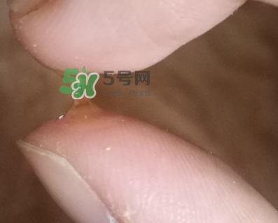 SKINCEUTICALS修麗可夜間精華怎么樣_好用嗎？