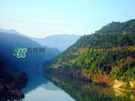 漂流需要準備什么東西？漂流哪里最好玩？