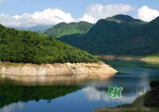漂流需要準備什么東西？漂流哪里最好玩？