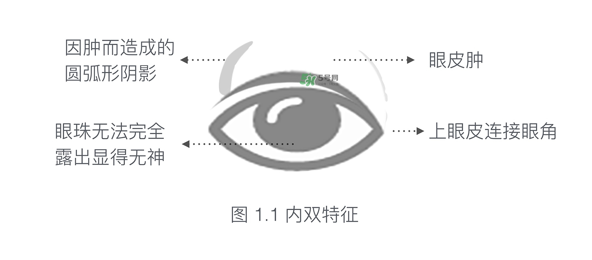 內(nèi)雙眼妝畫法及步驟圖片 日常內(nèi)雙眼妝的畫法