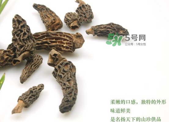 野生羊肚菌多少錢(qián)一斤？干羊肚菌多少錢(qián)一斤