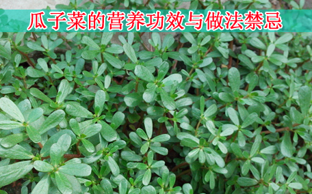 梅干菜會(huì)致癌嗎？致癌屬誤傳