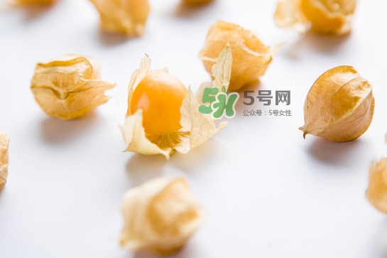 菇娘是寒性還是熱性？菇娘是哪里產(chǎn)的